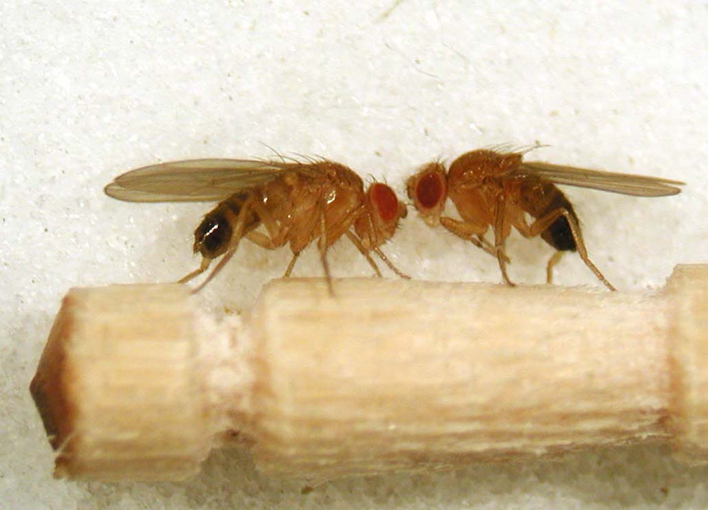 �����Љ�1